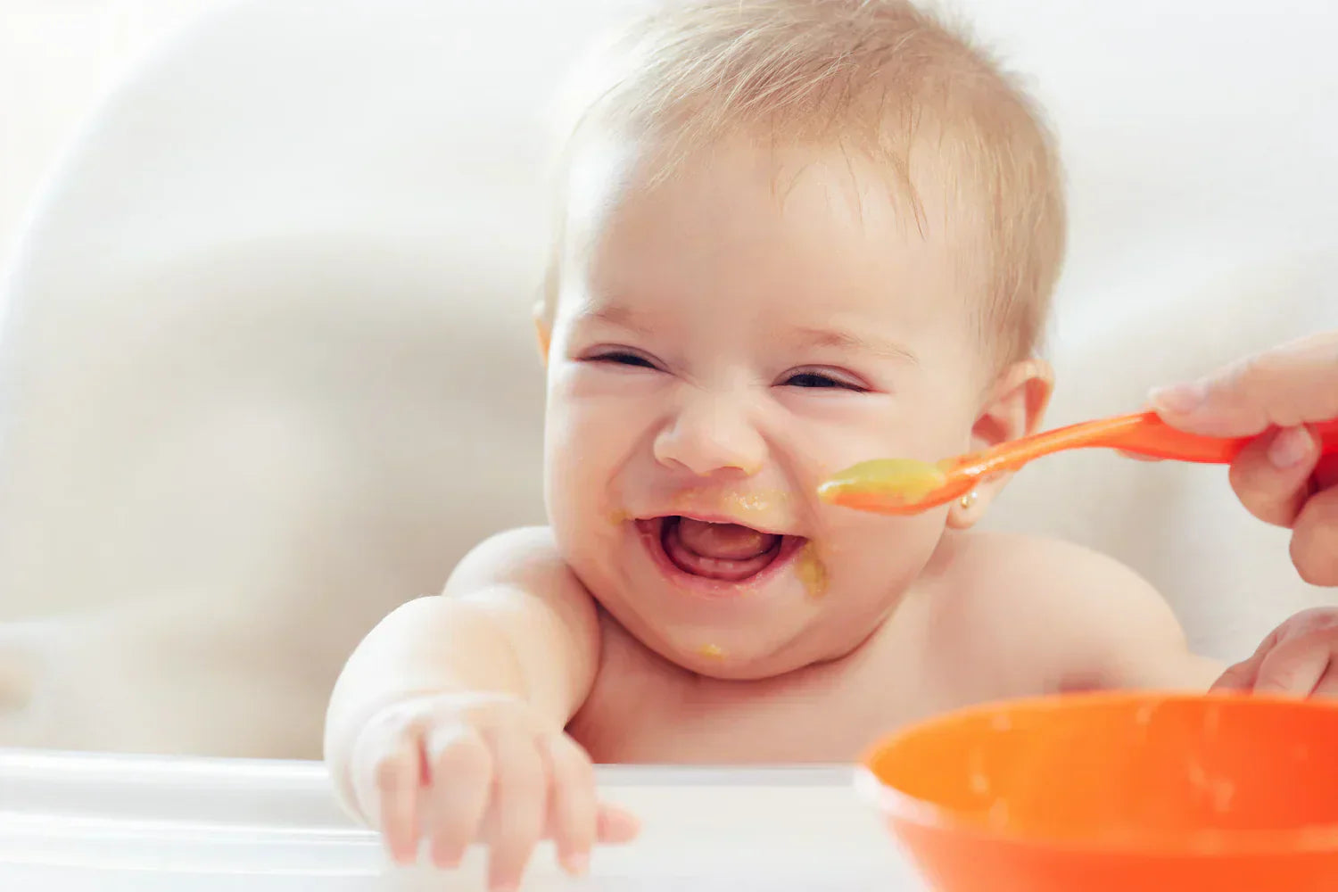 ¡De la leche a los sólidos! Consejos sobre la introducción de alimentos sólidos